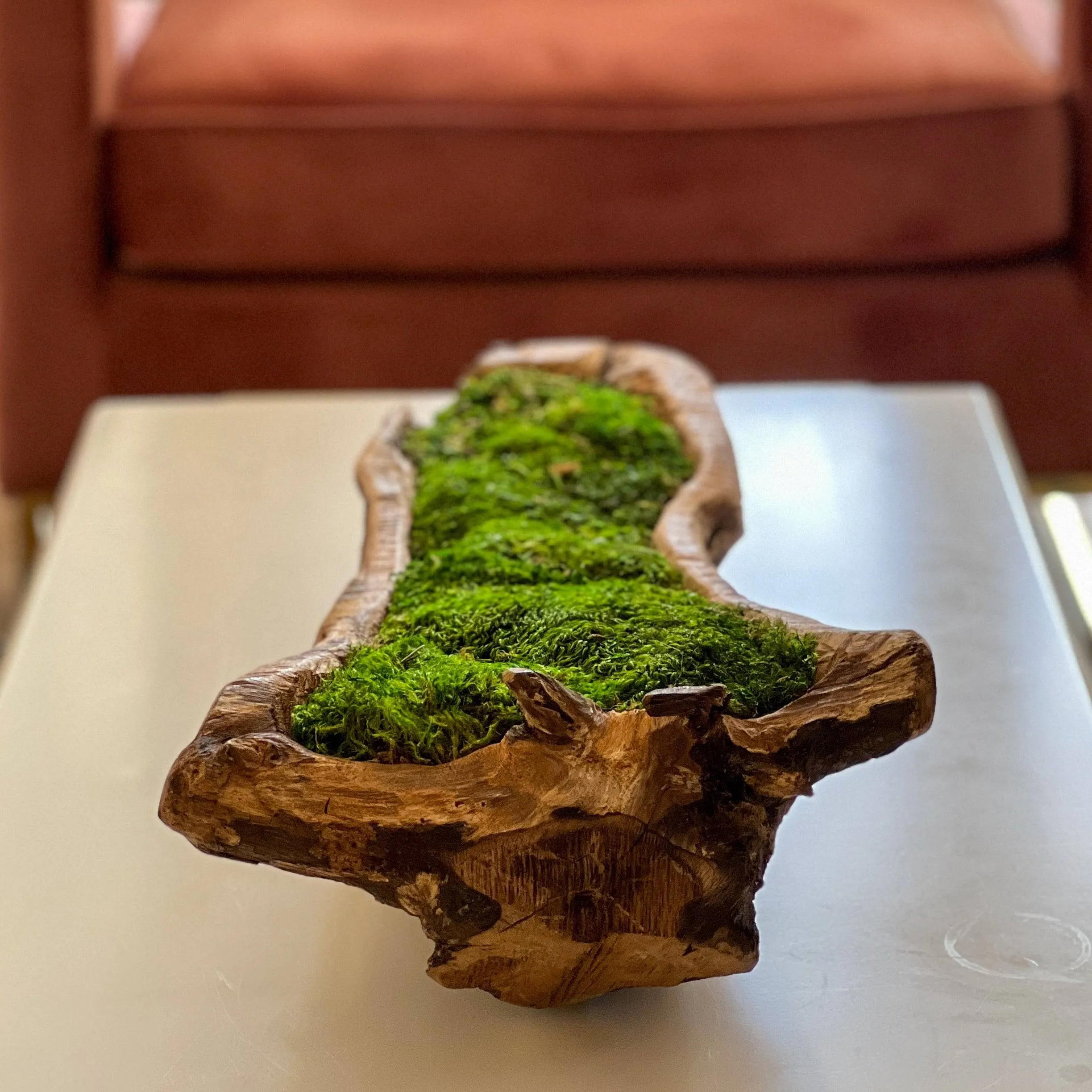 Carved Wooden Bowl Centerpiece with Lush Moss