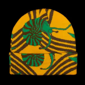 Snail Trail Beanie